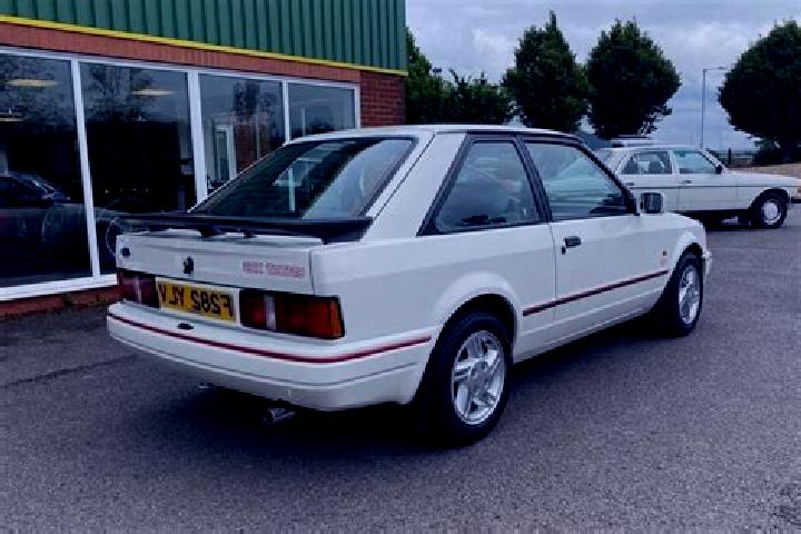escort Magueyitos