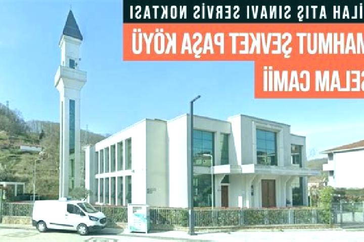 escort Mahmut Sevket Pasa