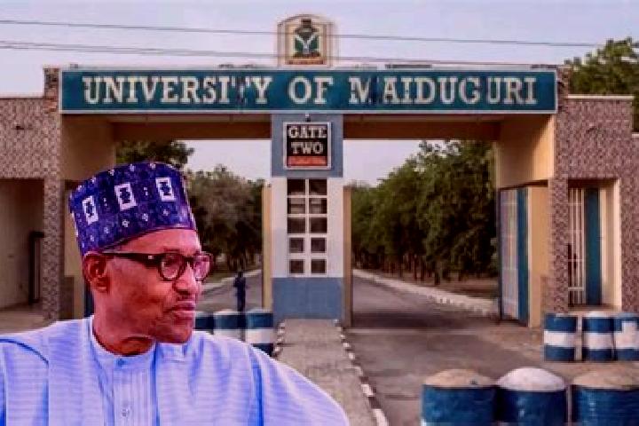 escort Maiduguri