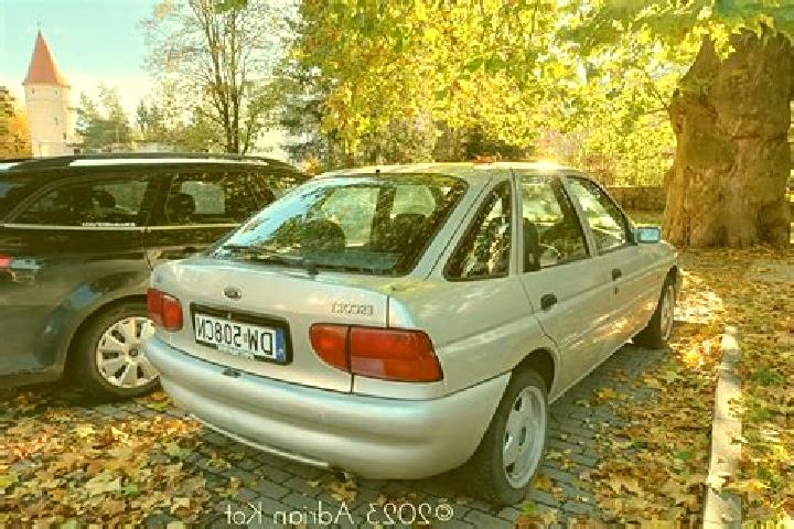 escort Maitzborn