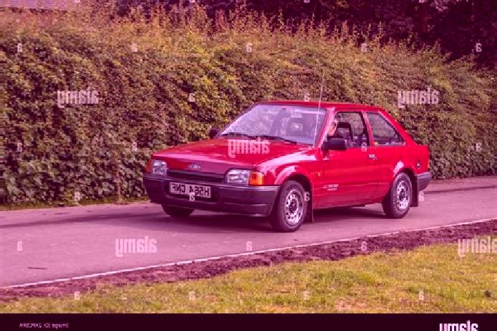 escort Maketu