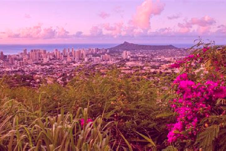 escort Makiki / Lower Punchbowl / Tantalus