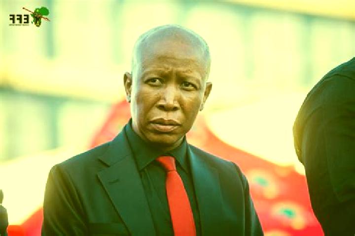 escort Malema