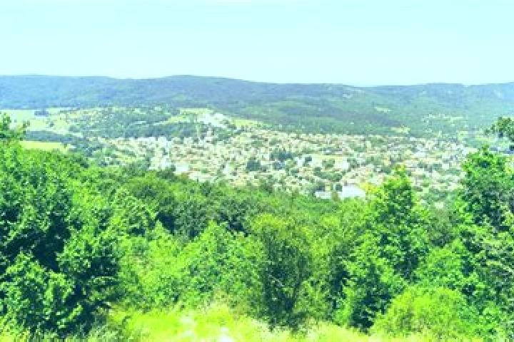 escort Malko Tarnovo
