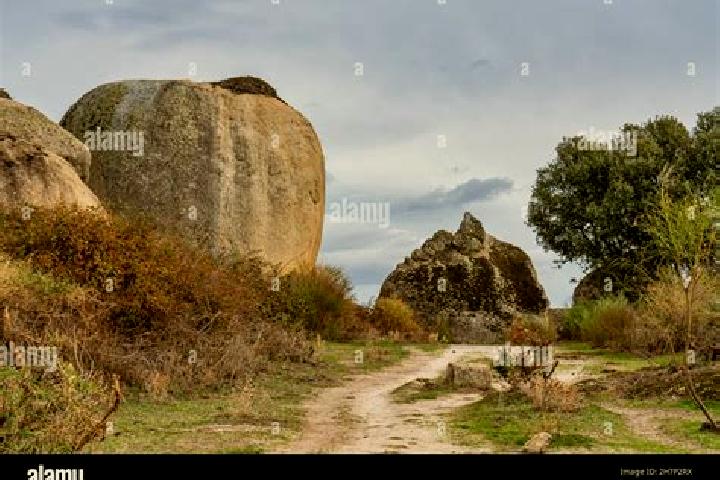 escort Malpartida de Caceres