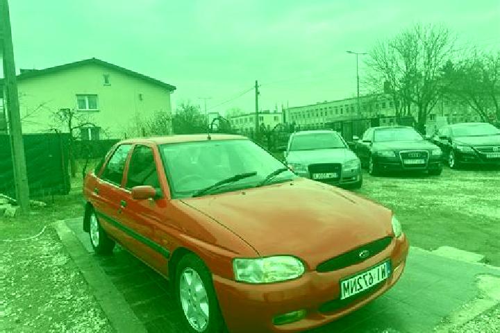 escort Maly Bor