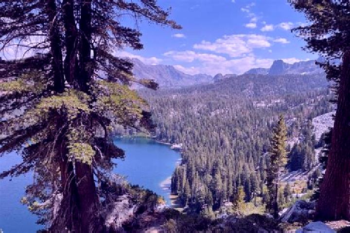 escort Mammoth Lakes