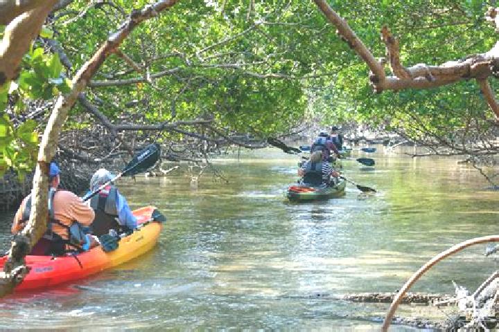 escort Mangrove Bay