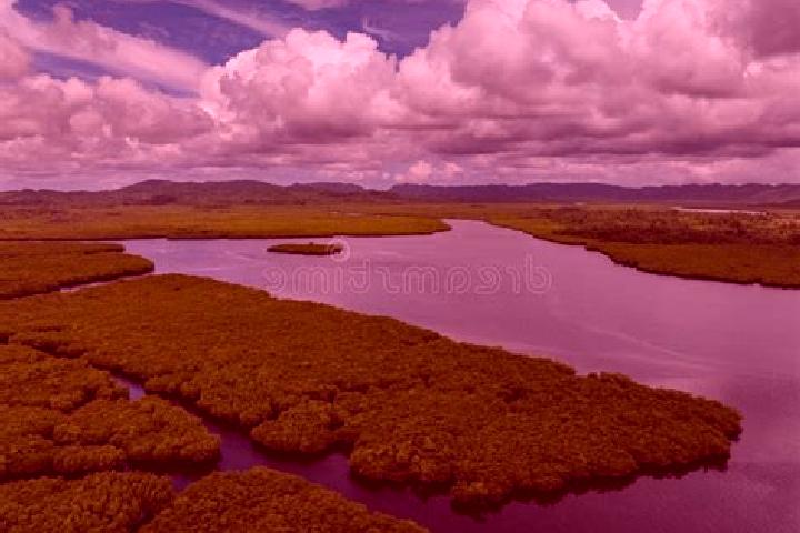 escort Mangrove Mountain