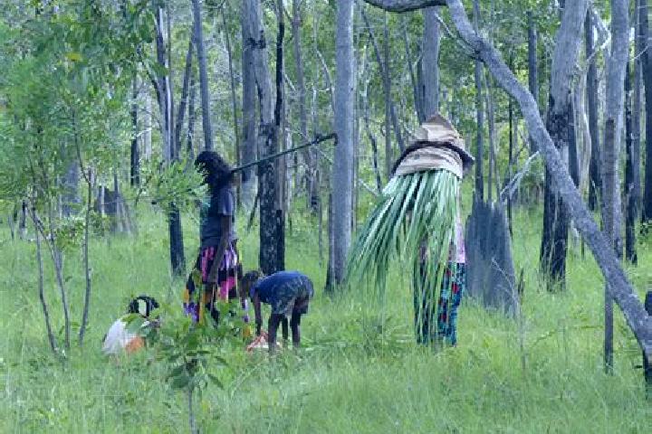 escort Maningrida