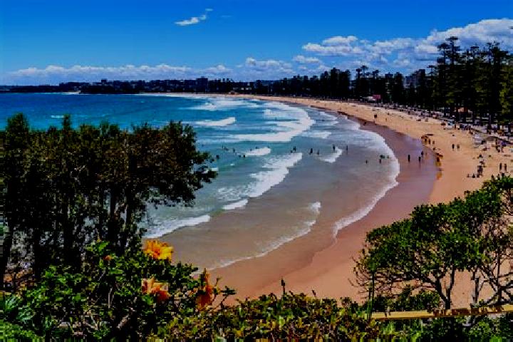 escort Manly