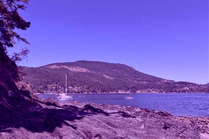 escort Maple Bay