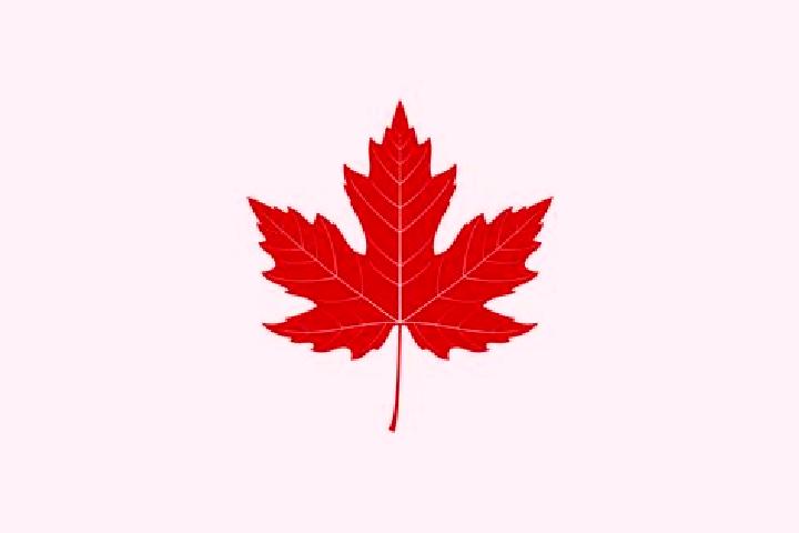 escort Maple Leaf