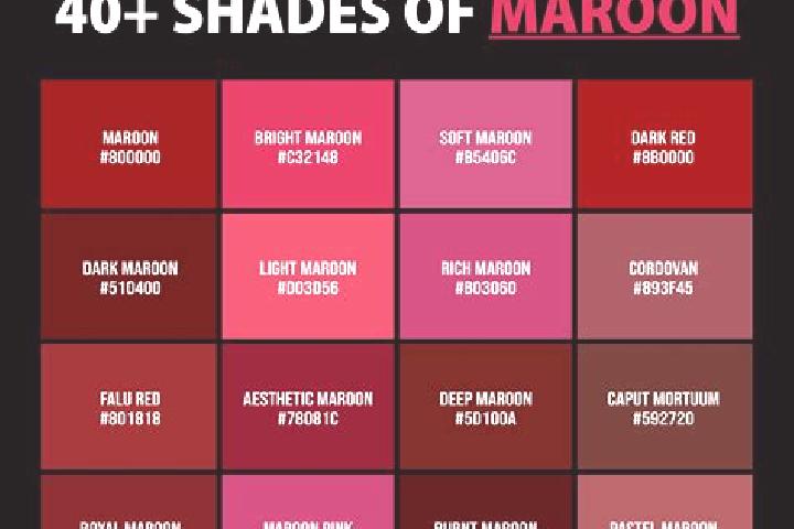 escort Maple Shade