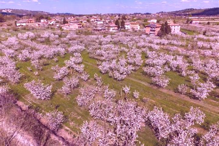 escort Marano sul Panaro