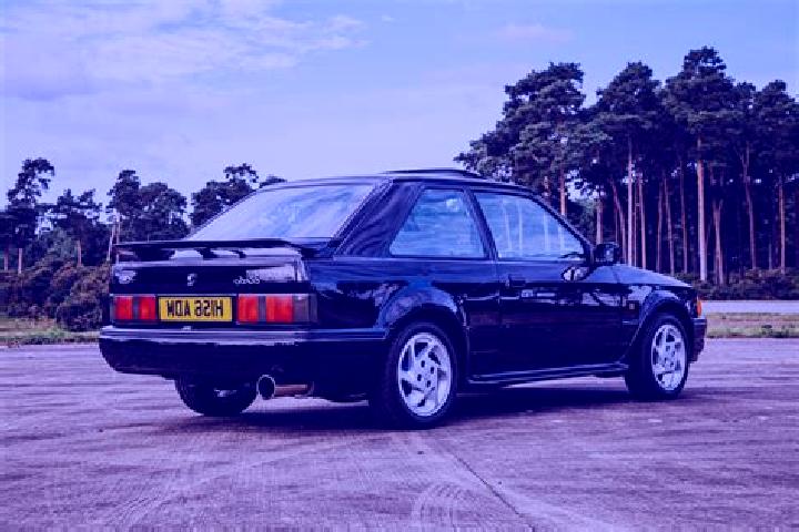 escort Margau
