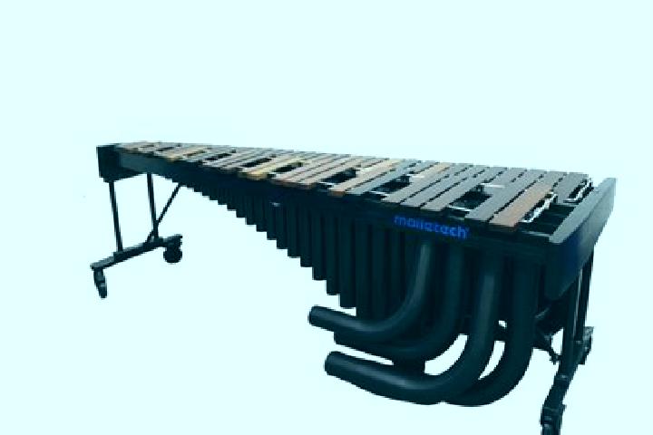 escort Marimba