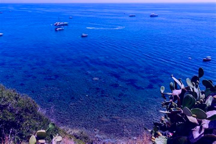 escort Marina di Casal Velino