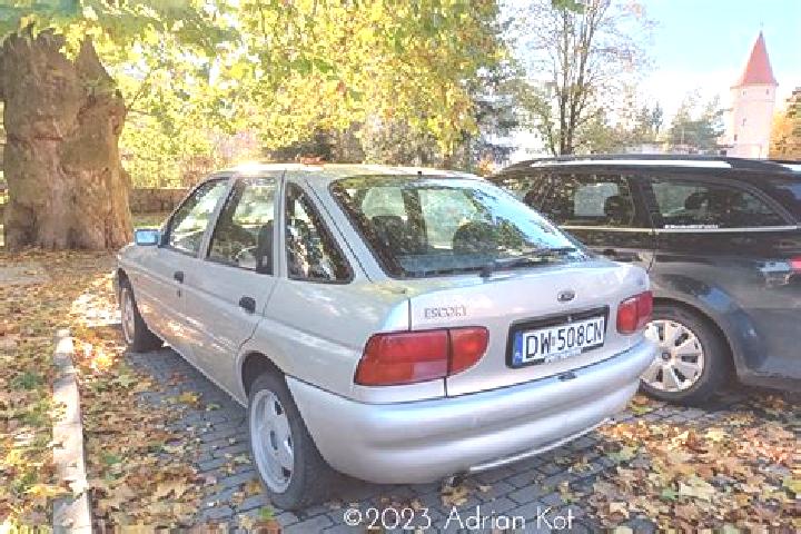 escort Markusy