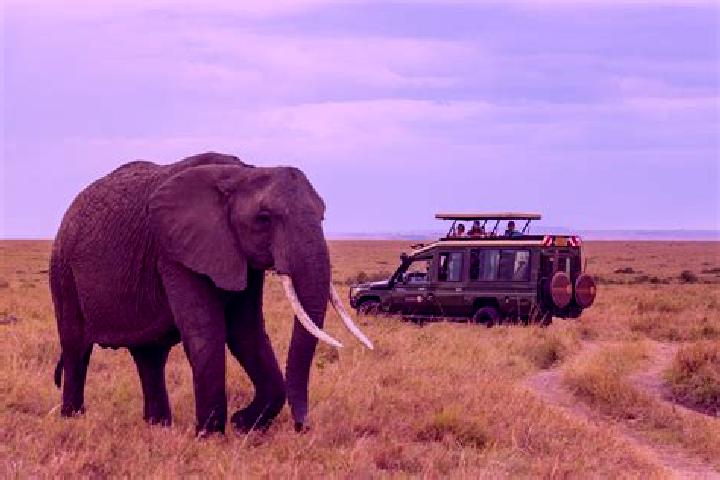 escort Marsabit