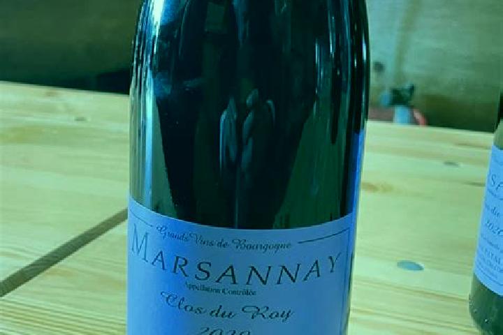 escort Marsannay-la-Cote