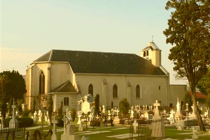 escort Martin-Eglise