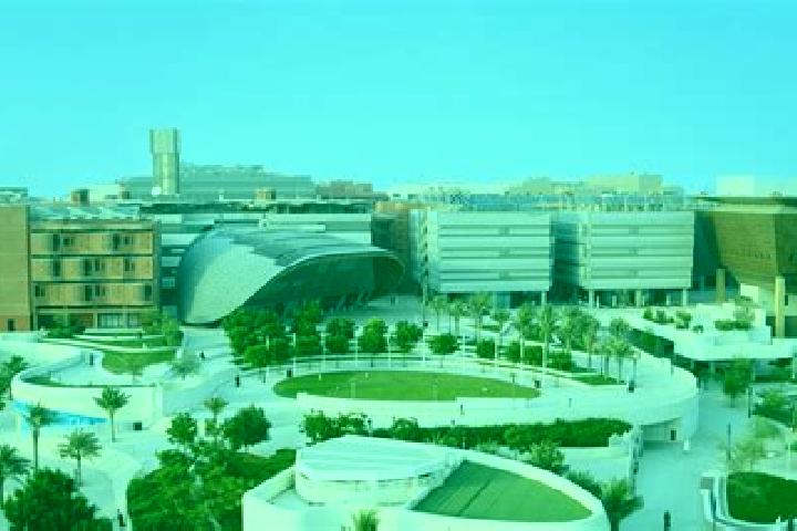 escort Masdar City
