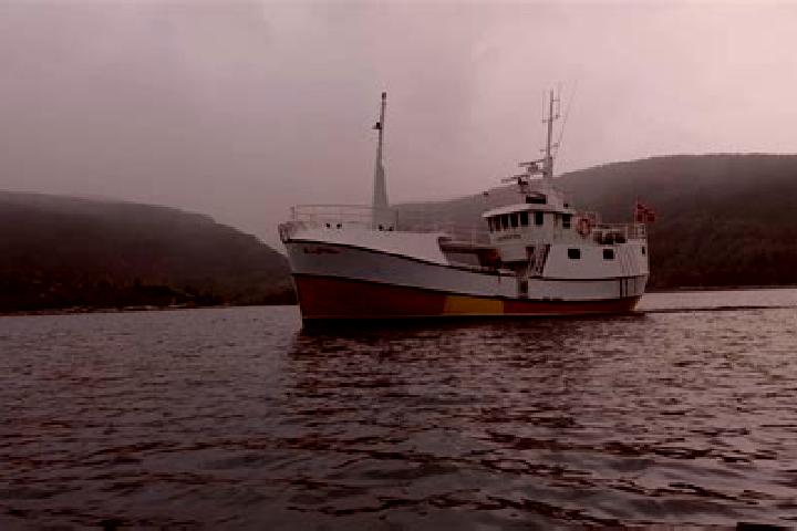 escort Masfjorden