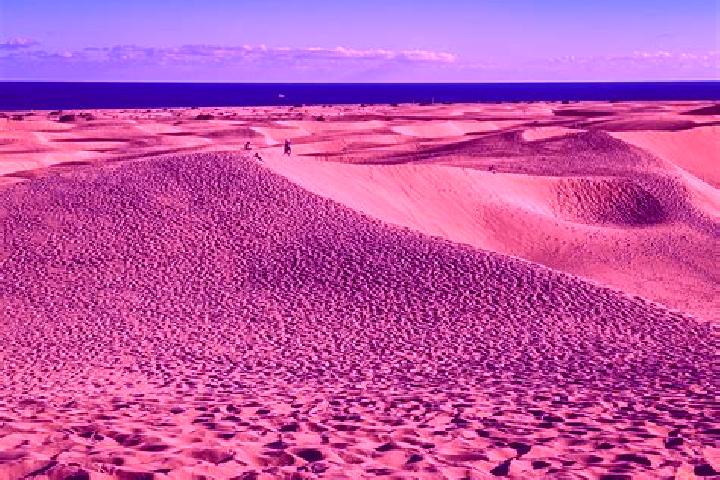 escort Maspalomas