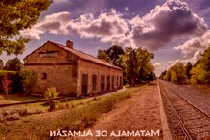 escort Matamala de Almazan