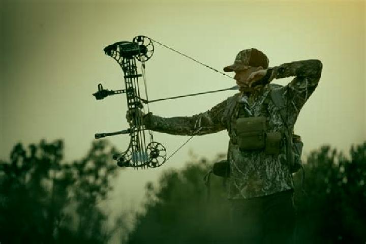 escort Mathews