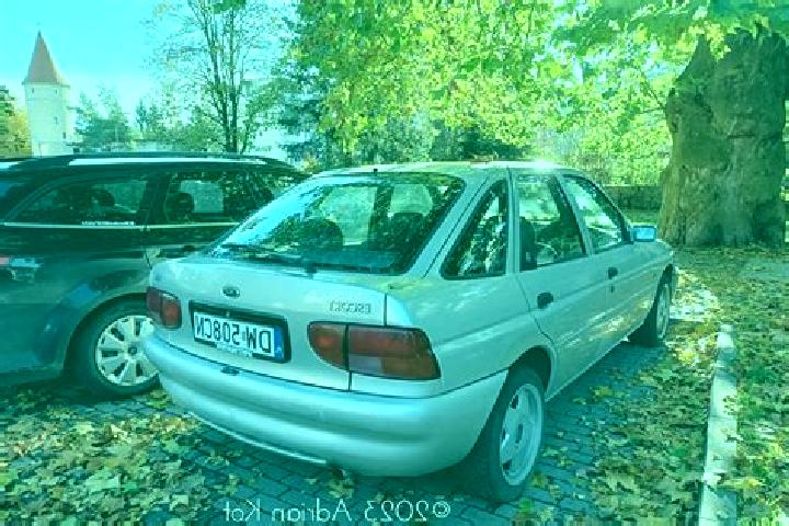 escort Matuu