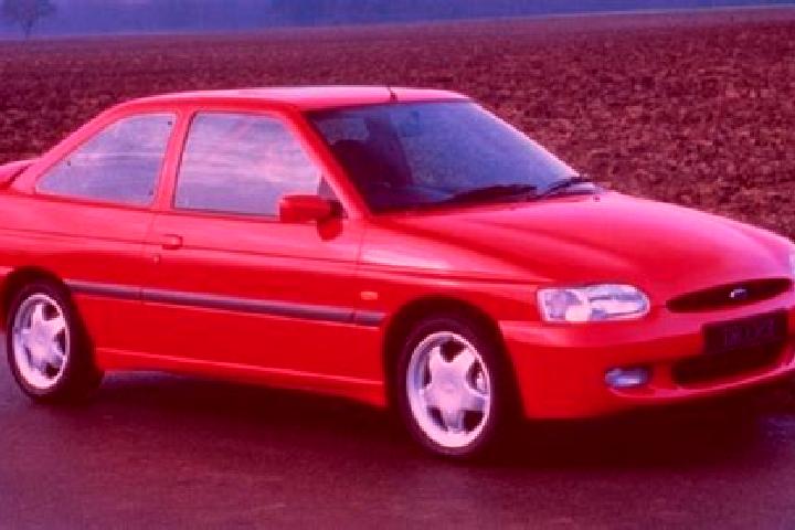 escort Maulette