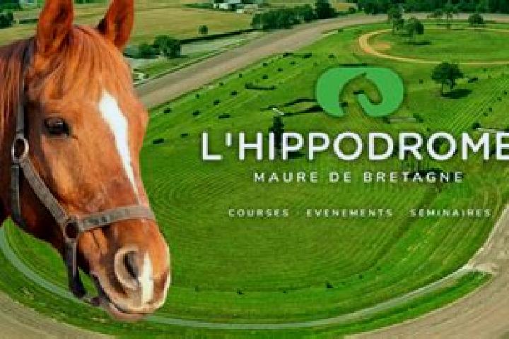 escort Maure-de-Bretagne