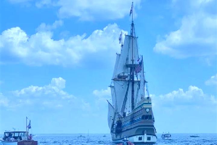 escort Mayflower