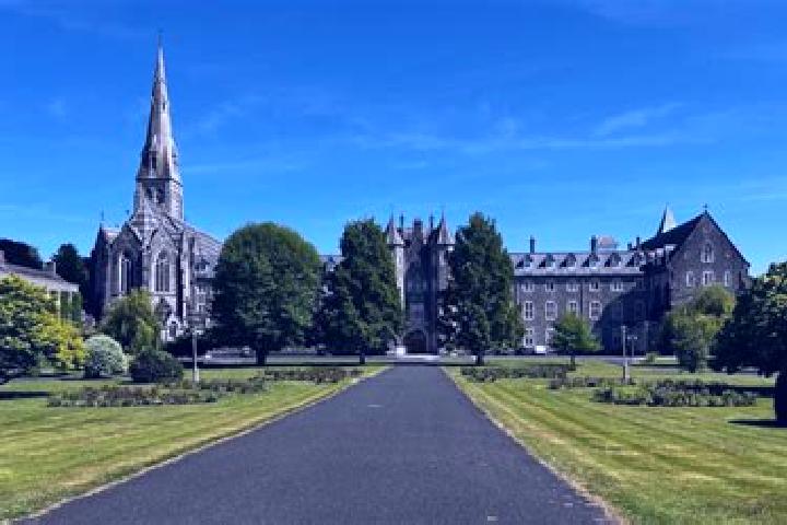 escort Maynooth