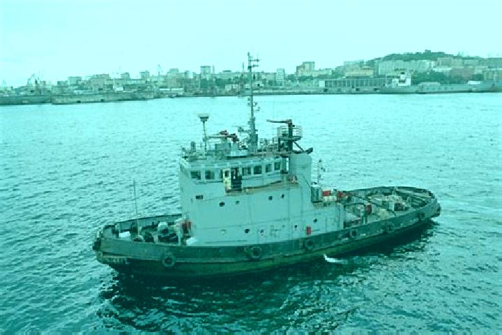 escort McClusky