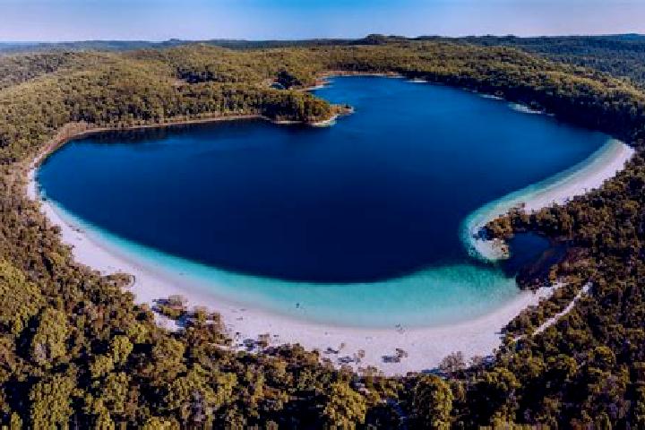 escort McKenzie Lake