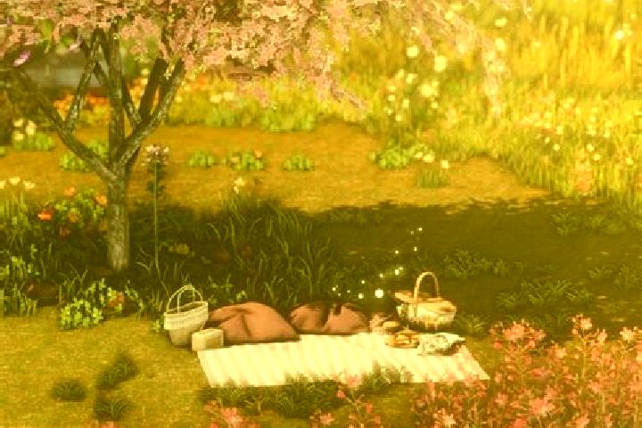escort Meadow Glade