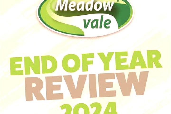 escort Meadow Vale
