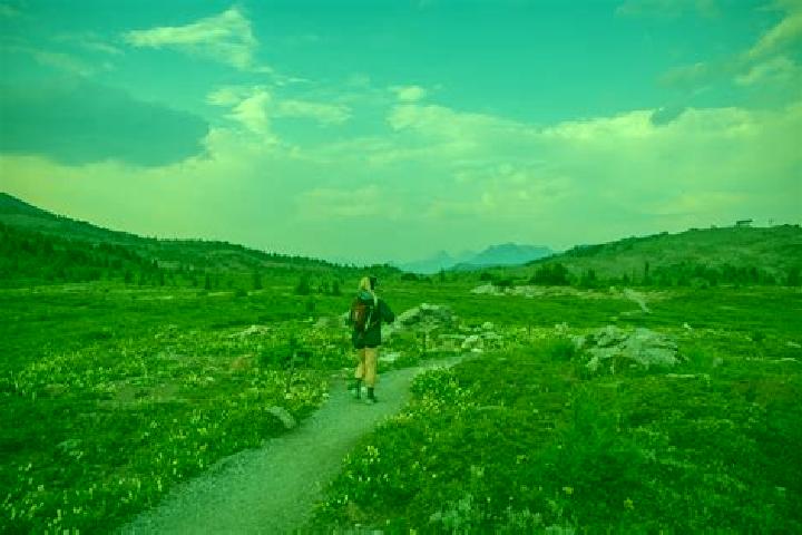 escort Meadow Vista