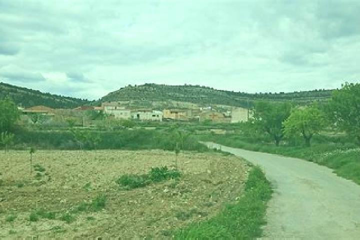 escort Melgar de Arriba