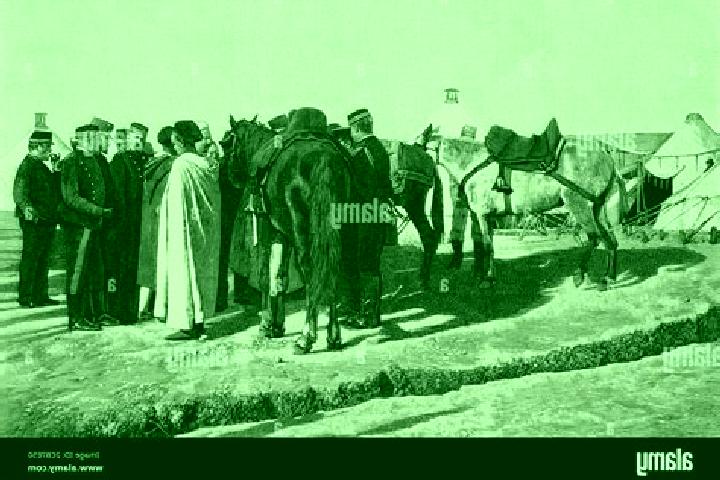 escort Melilla