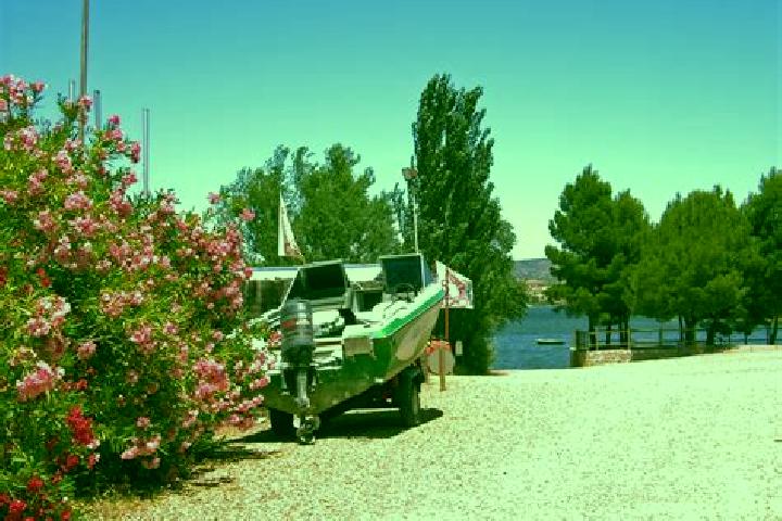 escort Mequinensa / Mequinenza