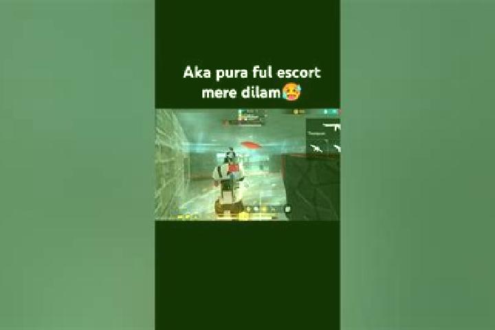 escort Mere