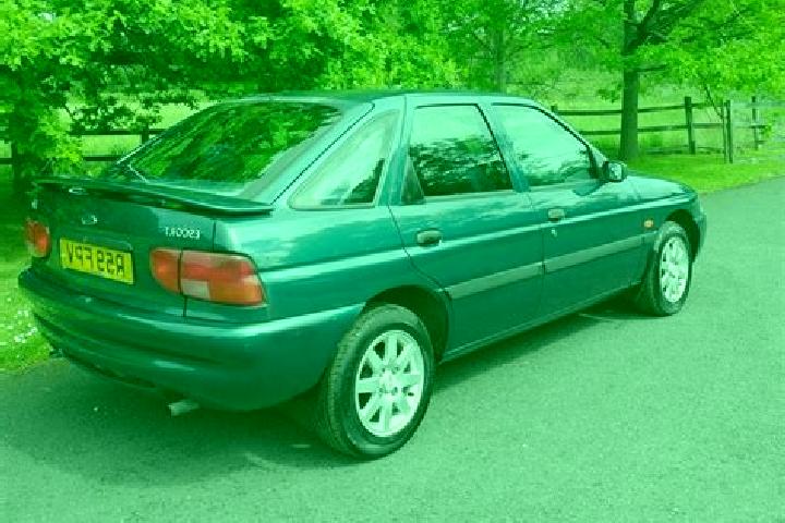 escort Merin
