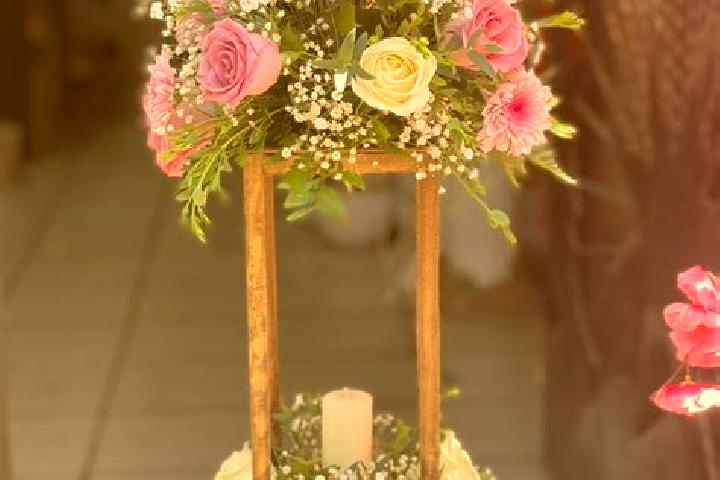 escort Mesa de Flores