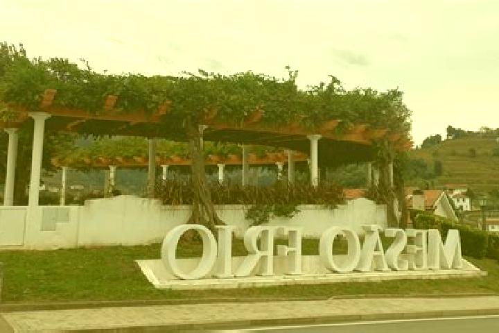 escort Mesao Frio