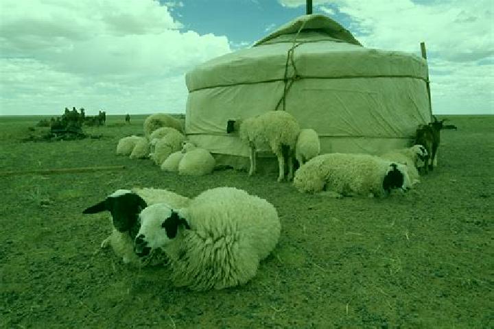 escort Mesker-Yurt