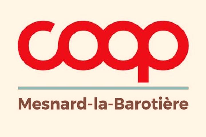 escort Mesnard-la-Barotiere